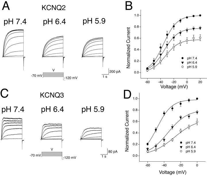 Figure 11. 