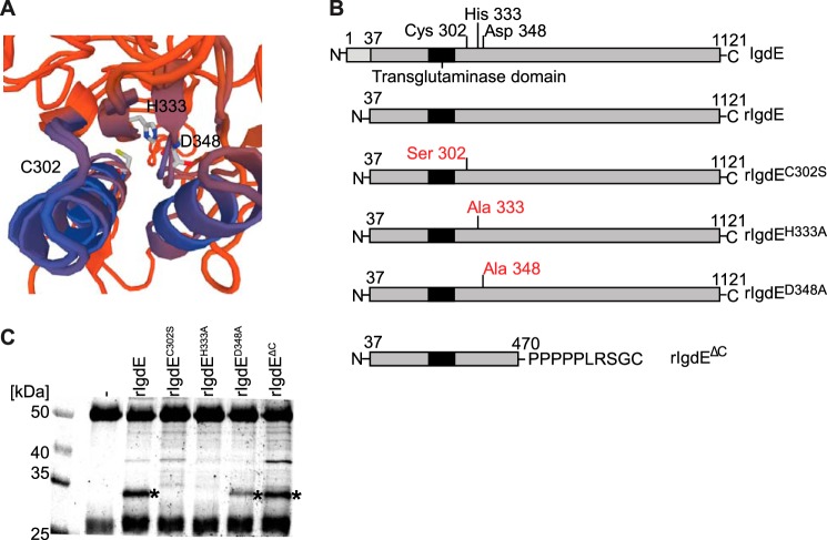 FIGURE 2.