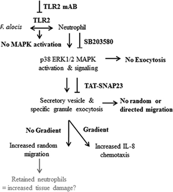 FIG 8