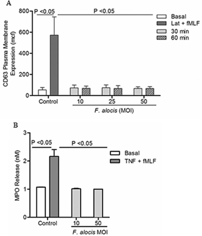 FIG 5