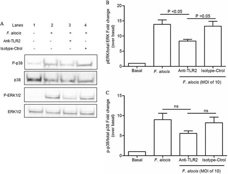 FIG 3