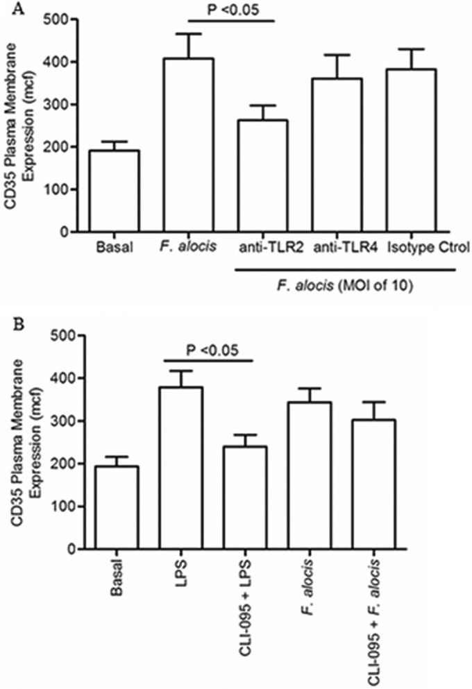 FIG 6