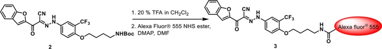 Chemical structure 2.