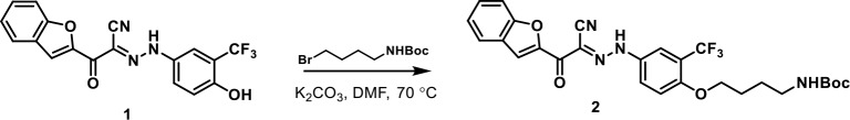 Chemical structure 1.