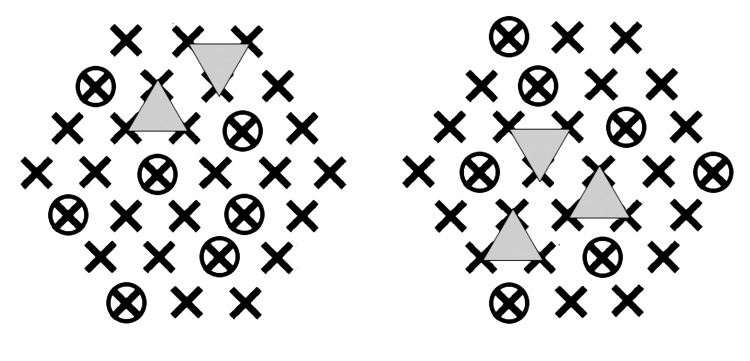 Figure 2—figure supplement 1.