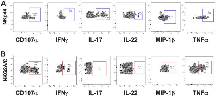 FIG 6