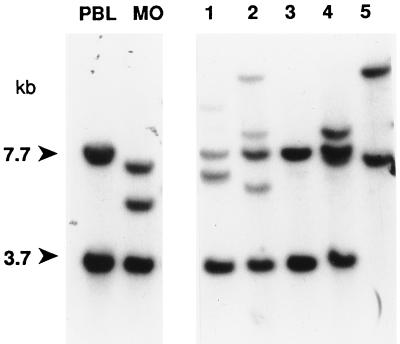 FIG. 1