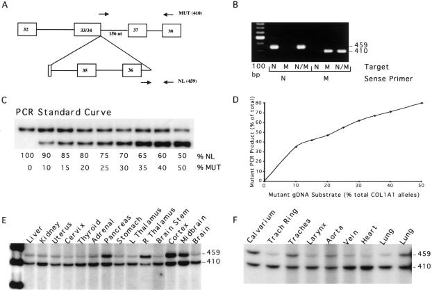 Figure  3