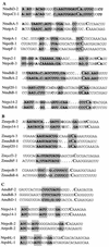 FIG. 6.