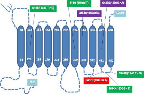 FIGURE 1.