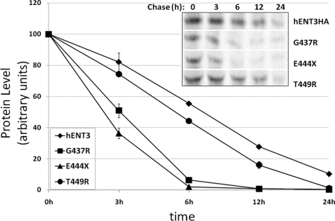 FIGURE 7.