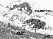 Fig 12
