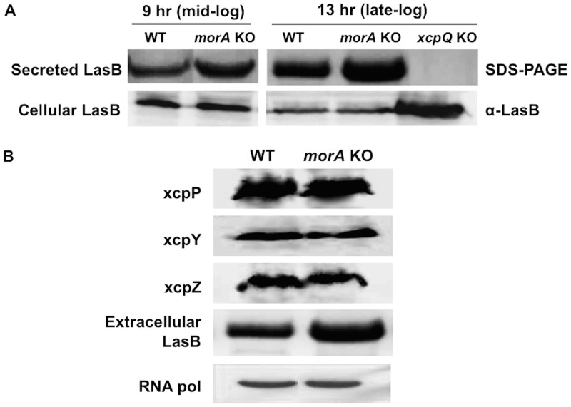 Fig 4