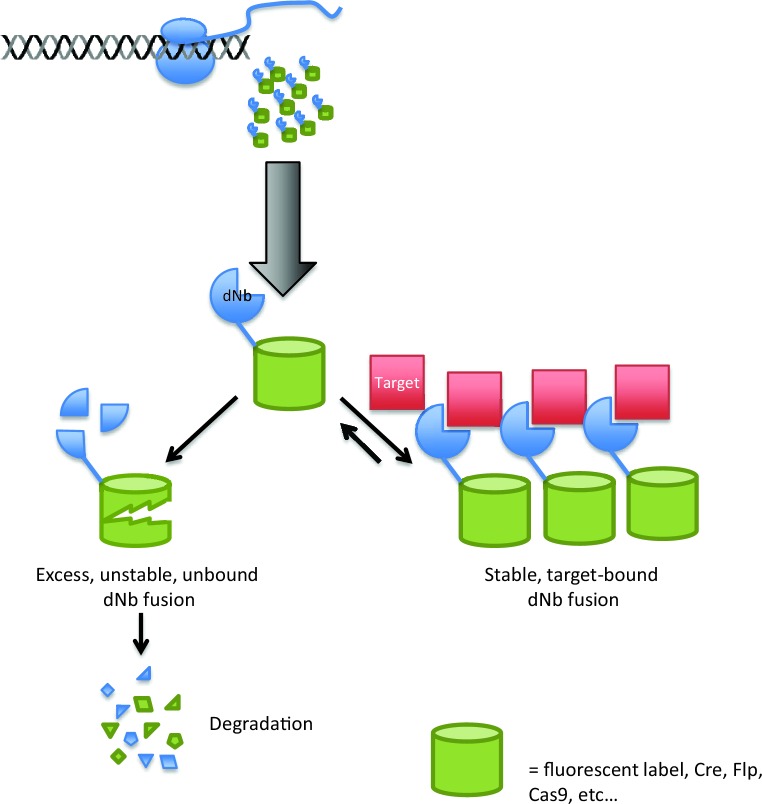 Figure 1.