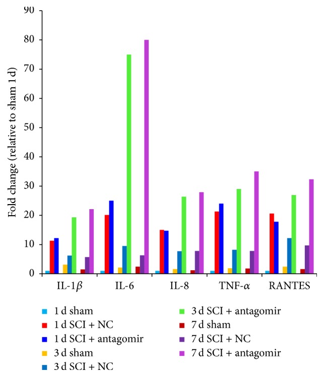 Figure 6