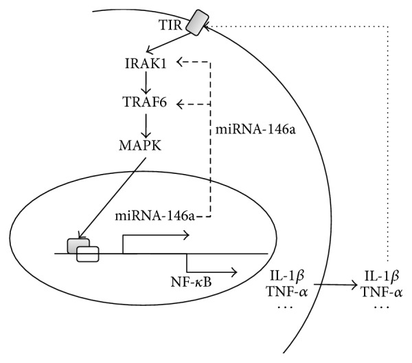 Figure 8