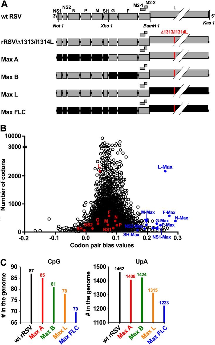 FIG 1