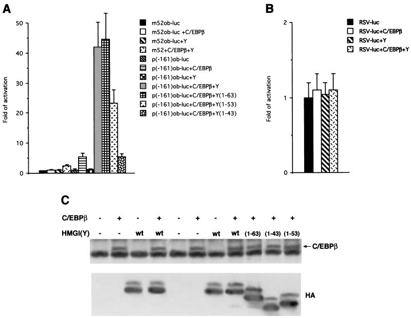 FIG. 7