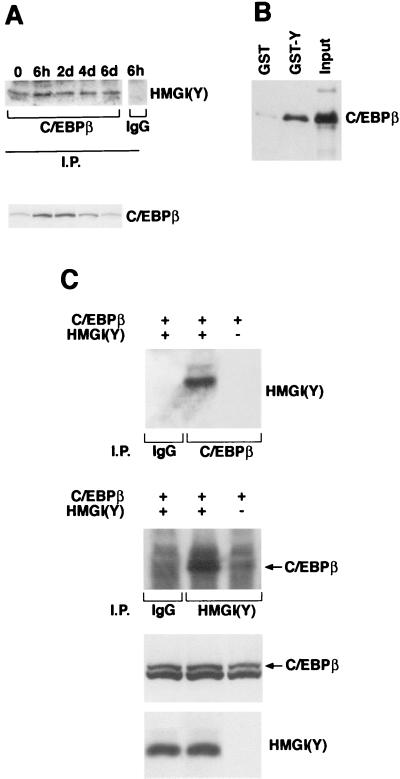 FIG. 5