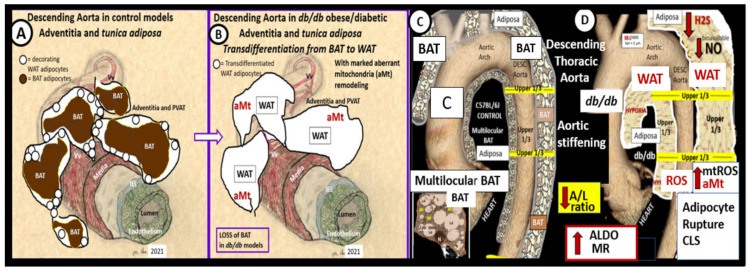 Figure 23