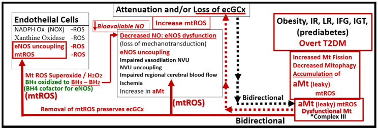 Figure 19