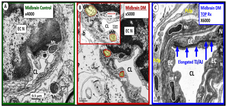 Figure 12