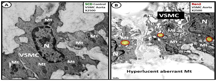 Figure 20