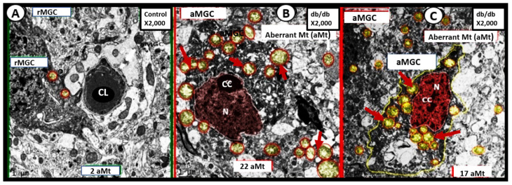 Figure 11