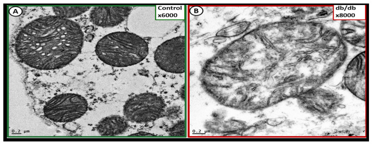 Figure 26