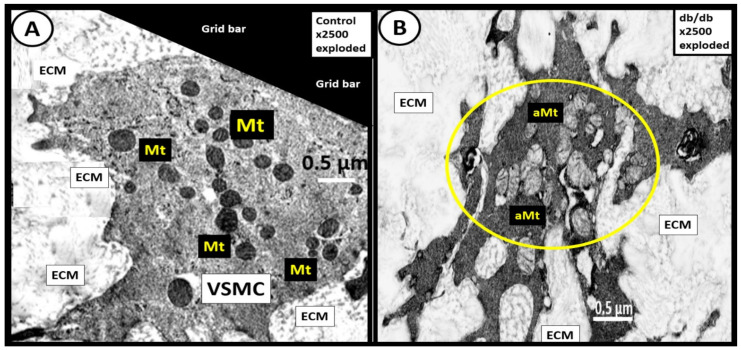 Figure 22