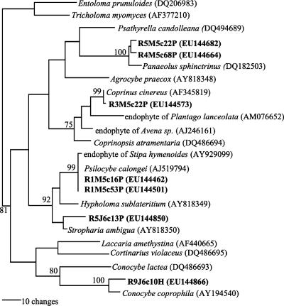 FIG. 5.