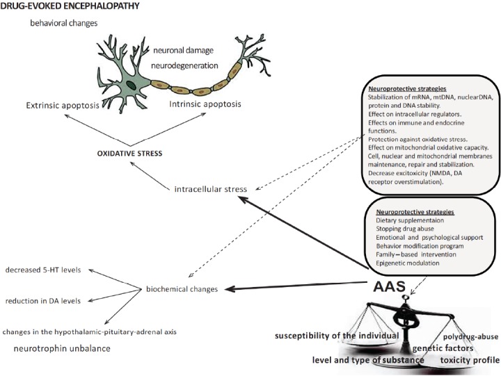 Fig. (5)