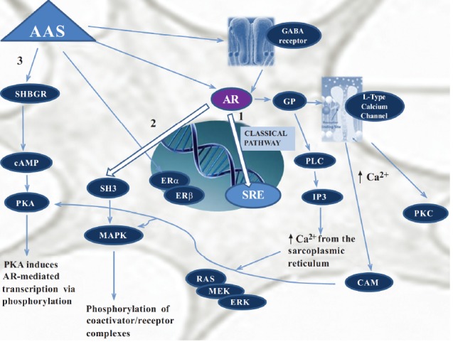 Fig. (2)