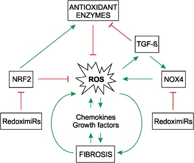 Graphical abstract