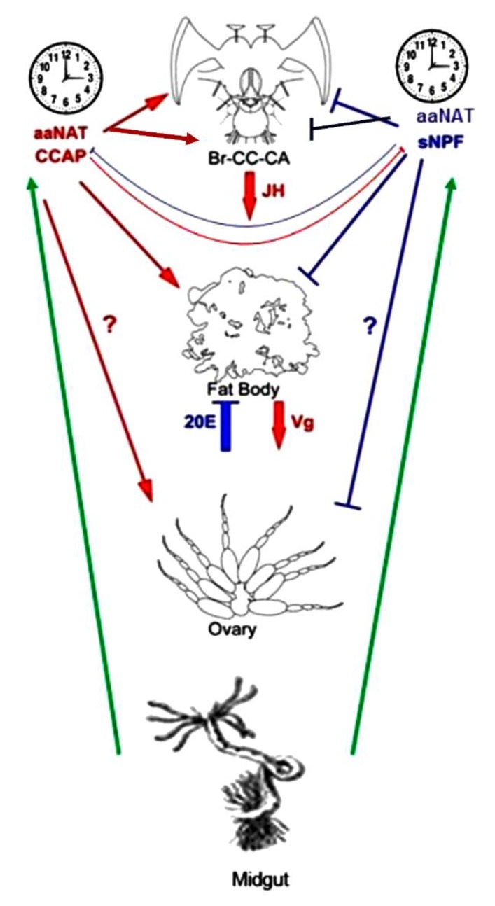 Figure 10