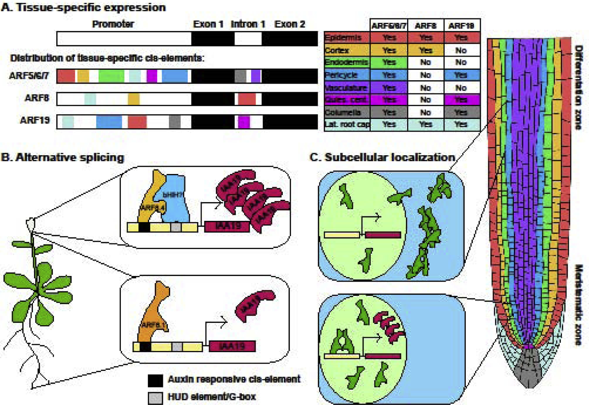 Figure 1: