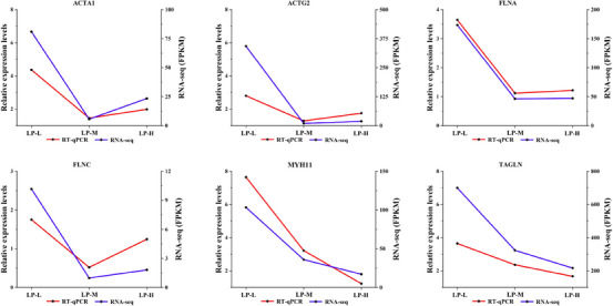 FIGURE 6