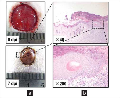 Figure 3: