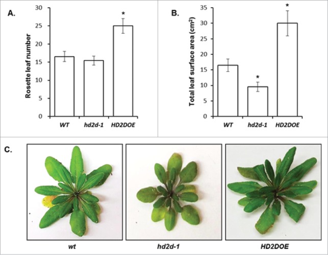 Figure 2.