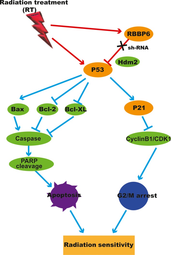 Figure 9