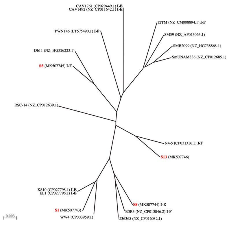 Figure 2