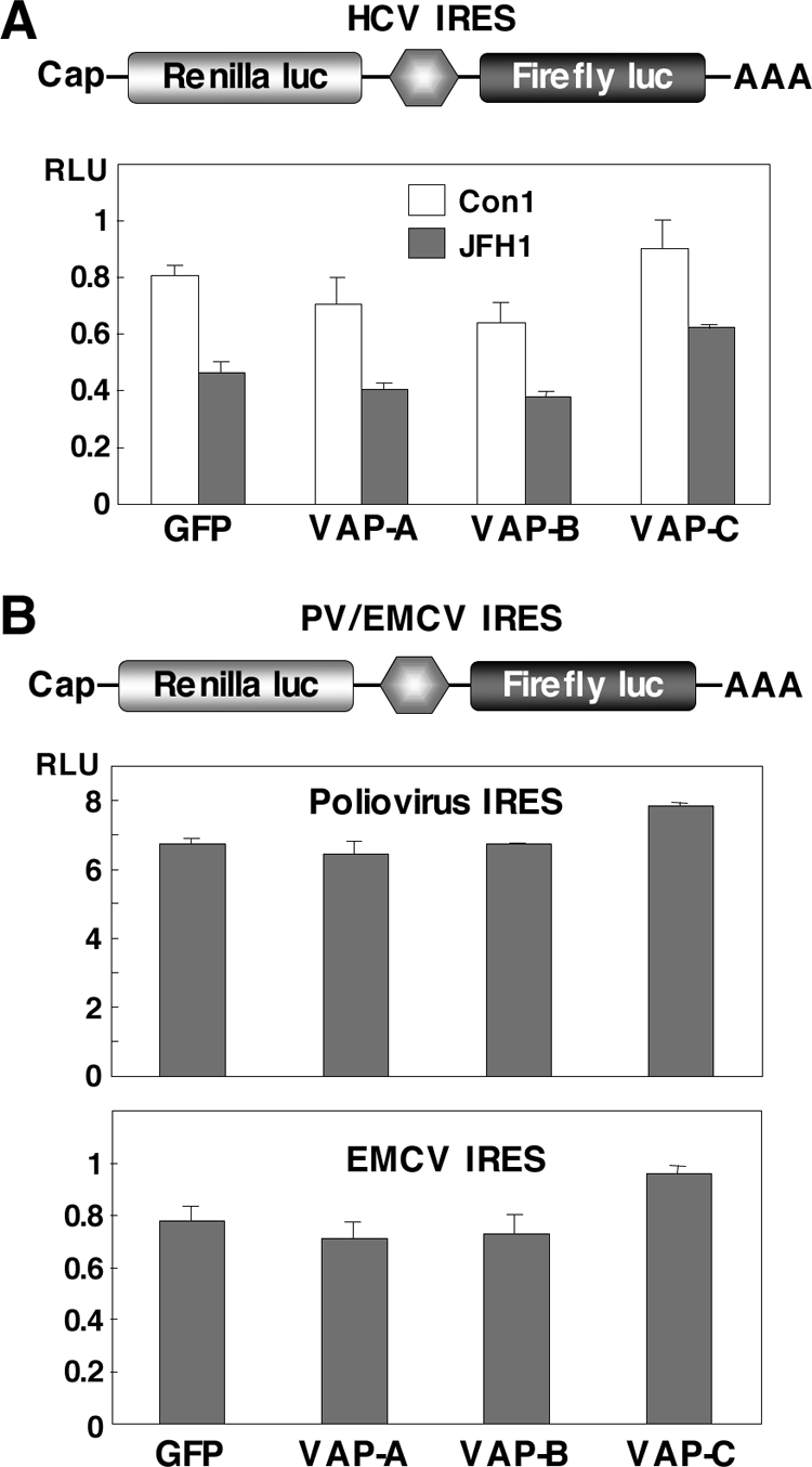 FIG. 4.