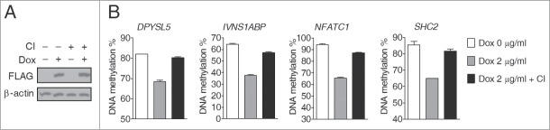 Figure 5.