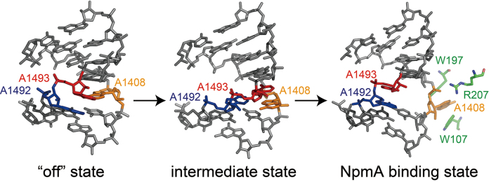 Figure 6.