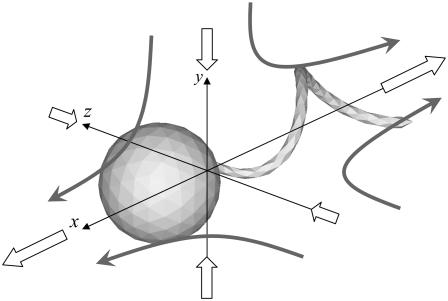 FIGURE 13