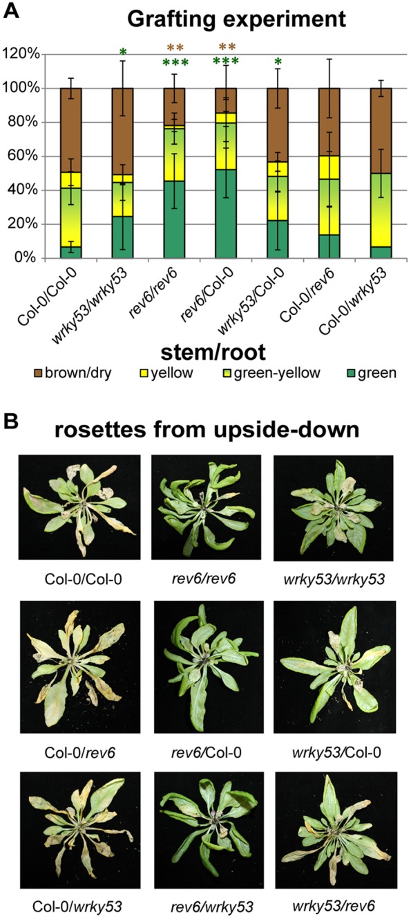 Fig. 8.