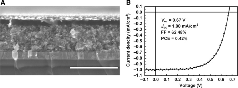 Fig. 13