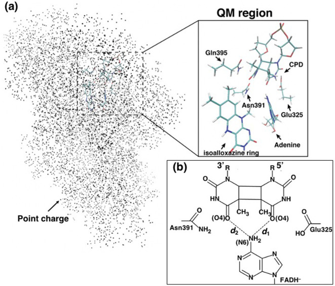 Figure 1