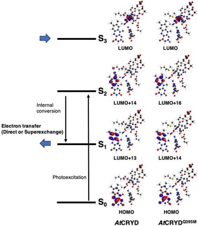 Figure 2