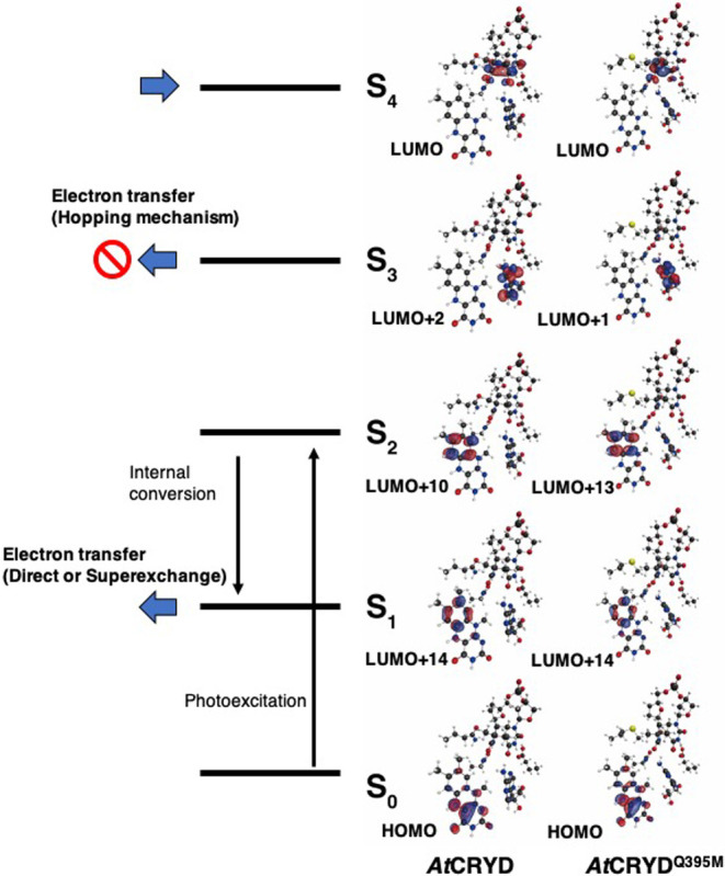 Figure 3